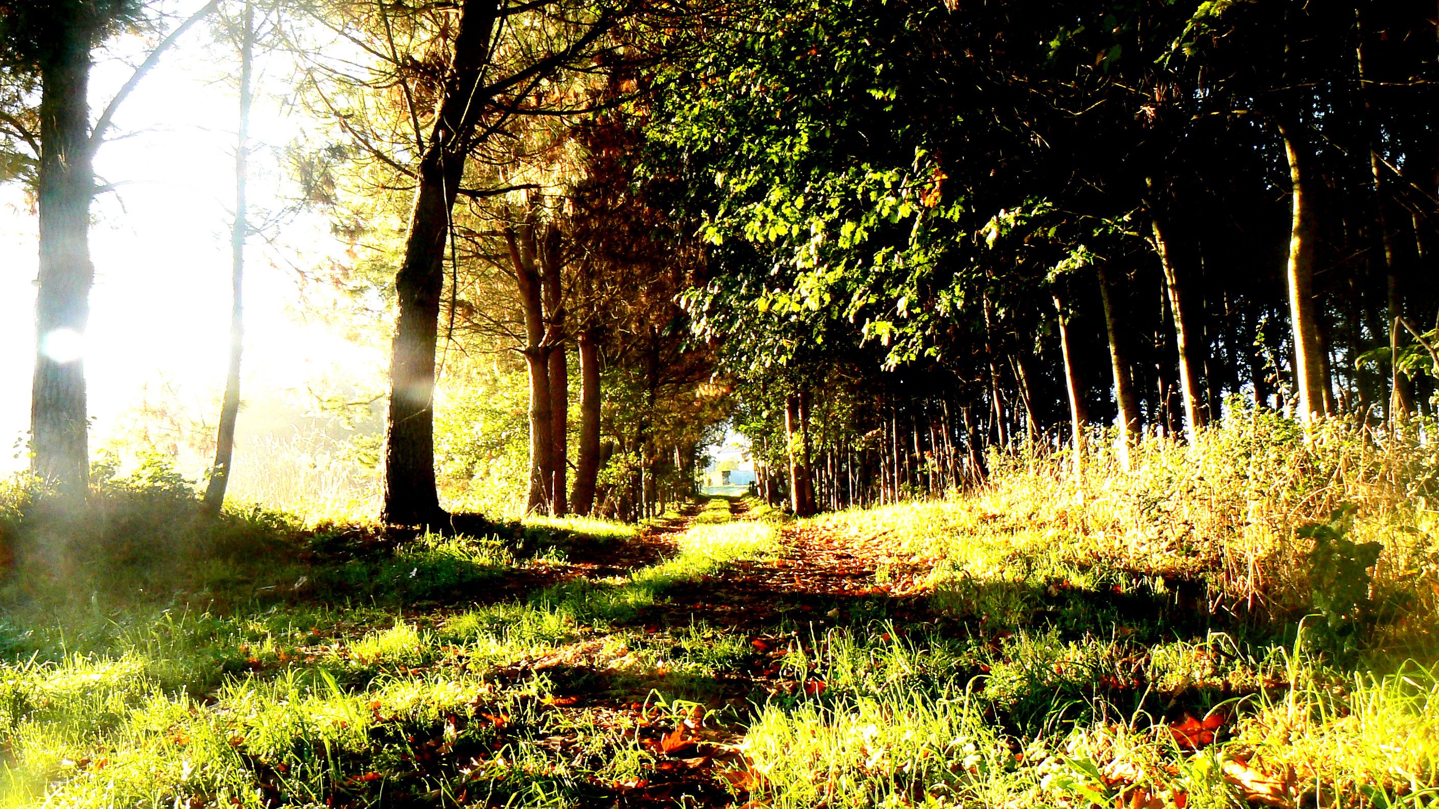 caminonatural